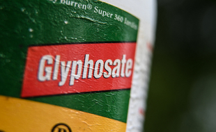 This picture taken on September 09, 2019, shows a bottle of weedkilling containing glyphosate in Lille, northern France. (Photo by DENIS CHARLET / AFP)