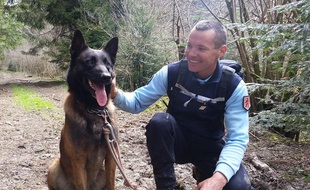 Sony, le chien du peloton de gendarmerie de haute montagne (PGHM) d'Ariège.