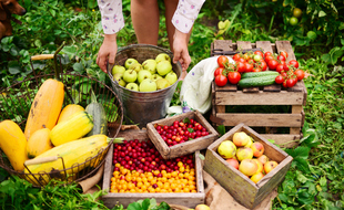 En été, à vous les mets fruités et sucrés. Mais si vous trouvez des tomates en hiver, c'est qu'il y a un souci quelque part. Ce n'est pas la saison de la soupe pour rien