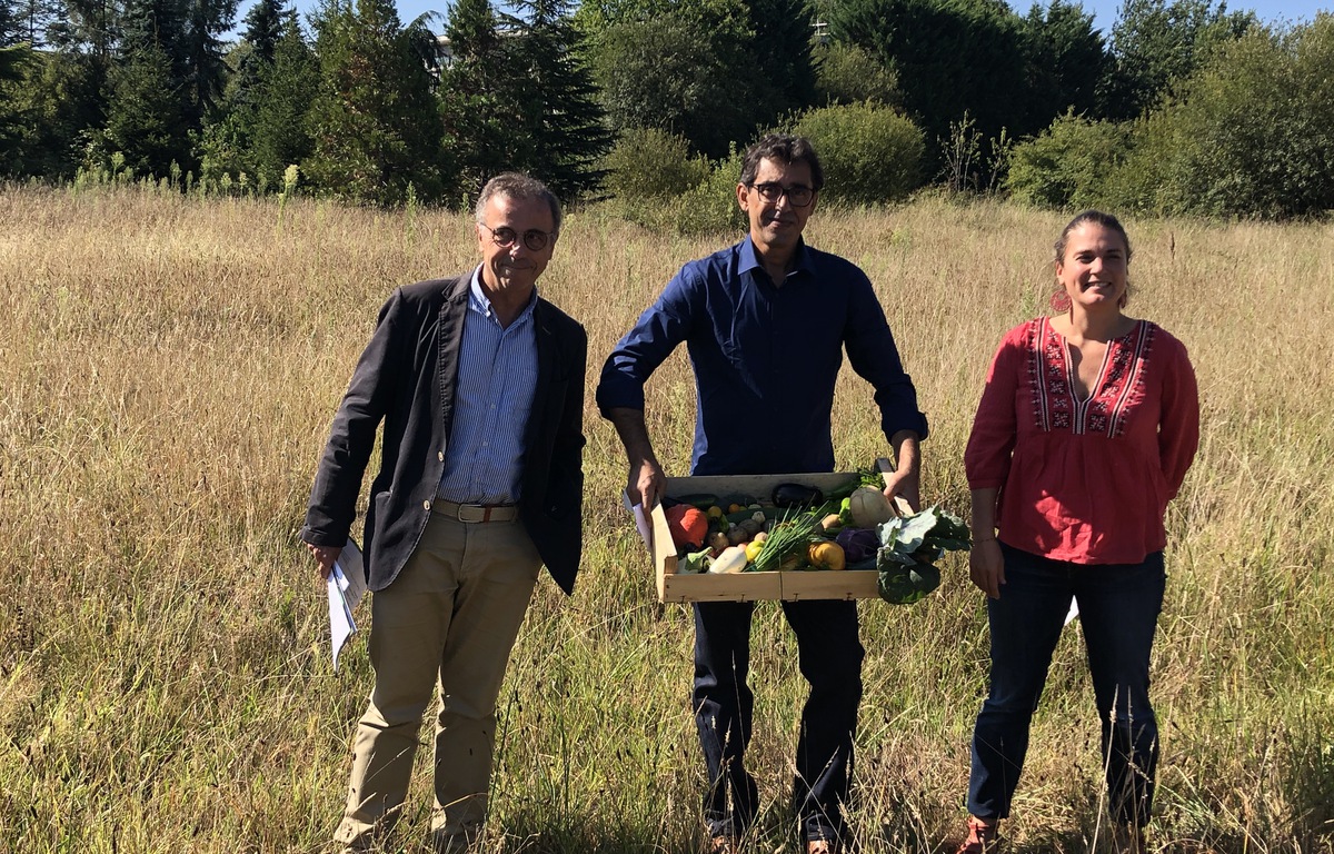 Circuit Court A La Ferme Mots Fleches Bordeaux : « Une première grande ferme biologique » aux portes de la ville