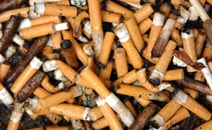 Des mégots de cigarettes. (photo illustration)