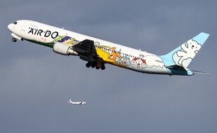 Un avion de la compagnie AirDo au-dessus de l'aéroport de Tokyo (image d'illustration).