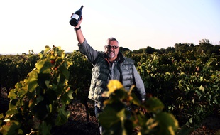 Christophe Urios, le manager de l'UBB, est aussi propriétaire du Château Pépusque.