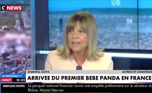 Chantal Goya prend du galon en devenant chroniqueuse pandas sur CNews.