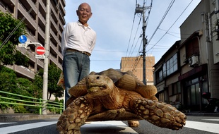Depuis vingt ans, ce sexagénaire sans enfant prend soin de cette tortue