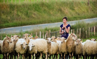 Marion Chomel, éleveuse de brebis dans le Pays Basque.