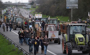 La manifestation du 9 janvier 2016 contre l'aéroport de Notre-Dame-Des-Landes