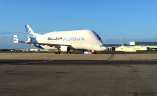 Le Beluga ST (moins gros que le Beluga XL), sur le tarmac de Saint-Nazaire-Montoir, le 13 novembre 2019.
