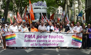 Déjà en 2013 lors de la Gay Pride de Lyon, la PMA pour toutes était au cœur des revendications.