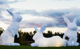 Les lapins géants de l'artiste australienne Amanda Parker s'installeront sur le mail François Mitterrand.