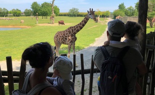 Le zoo de la Boissière-du-doré, le 16 mai 2020.