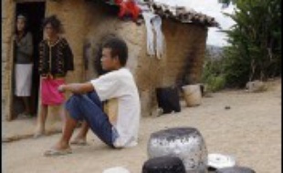 Programmes dassistance et hausse du salaire minimum ont favorisé un recul indéniable de la pauvreté sous le gouvernement Lula, mais le Brésil reste un des champions de linégalité sociale et compte toujours 43 millions de personnes dans la misère.