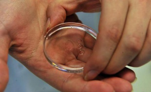 Un scientifique manipule une préparation destinée à une insémination artificielle, à Bruxelles le 2 février 2011