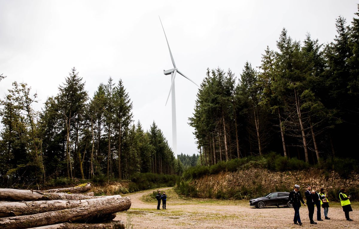 Seul un tiers des investissements nécessaires à la transition écologique seront rentables image