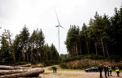 Les investissements pour la transition écologique sont-ils rentables ?