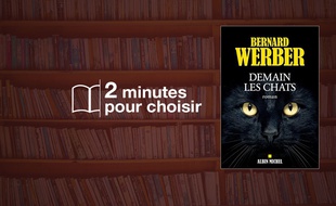 «Demain les chats» par Bernard Werber chez Albin Michel (20,90€, 320 p.).