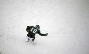 DeSean Jackson face à Detroit, en decembre 2013