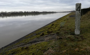 Les berges du Rhin au niveau très élevé en ces temps de crue.