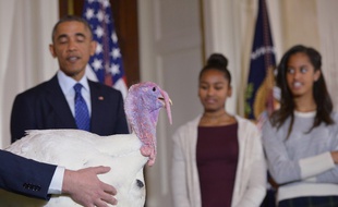 Malia et Sasha Obama lors de la cérémonie de la traditionnelle grâce accordée à une dinde pour Thanksgiving, à la Maison blanche le 26 novembre 2014.