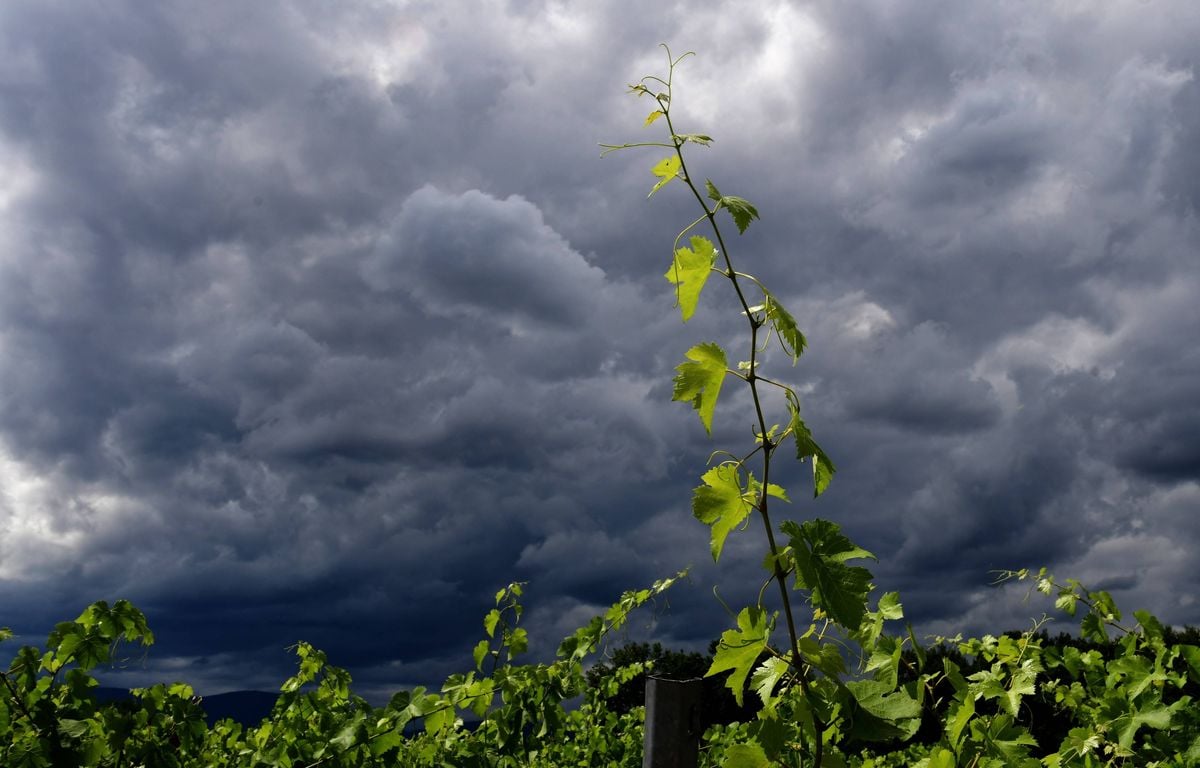 Orages : Six départements du nord-est placés en vigilance orange dimanche après-midi
