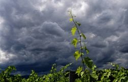 Six départements placés en vigilance orange pour des orages dimanche