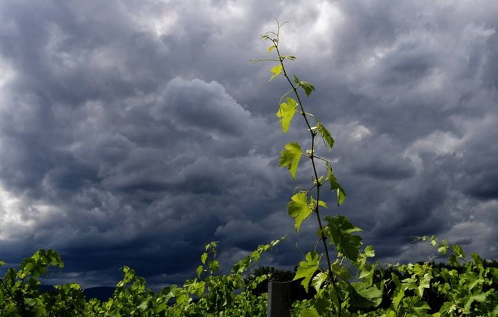 Six départements en vigilance orange pour des orages ce dimanche