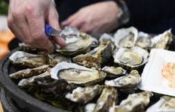 Les flatulences des huîtres sont-elles vraiment mauvaises pour le climat ?