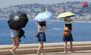 La canicule est particulièrement précoce cette année (illustration)