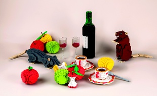 Les fables de La Fontaines en version LEGO lors d'une exposition à Croissy-sur-Seine