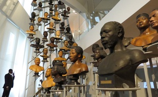 Bustes anthropologiques du XVIIIe siècle exposés au Musée de l'Homme.