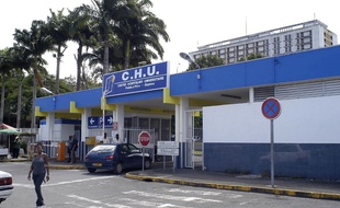 La Guadeloupe est le département d'outre-mer qui compte le plus de cas avérés de Covid-19 à ce jour (illustration).
