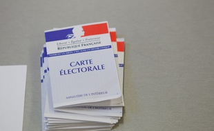 Le référendum pour faire entrer la protection du climat dans la Constitution pourrait ne pas avoir lieu (illustration).