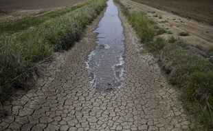 Illustration: La sécheresse dans une ferme en Californie.