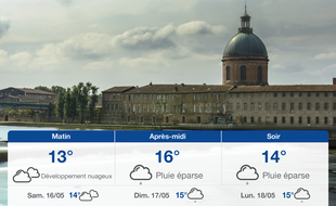 Météo Toulouse: Prévisions du vendredi 15 mai 2020