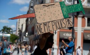 Lors de la manifestation contre le pass sanitaire, samedi 17 juillet à Toulouse.