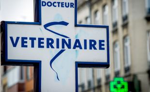Illustration d'une clinique vétérinaire