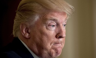 Donald Trump a décidé de bombarder la syrie au-dessus d'une part de gateau