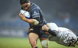 Le 3e ligne néo-zélandais du RC Toulon Chris Masoe a été élu par ses pairs meilleur joueur du Top 14 pour la saison 2011/2012 lors de la Nuit du rugby lundi soir au pavillon d'Armenonville à Paris.