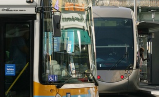 Trois grandes "familles" de bus ont été réorganisées