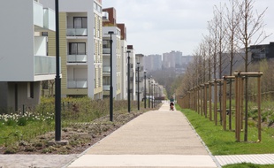 Illustration de logements, ici dans le quartier Beauregard à Rennes.