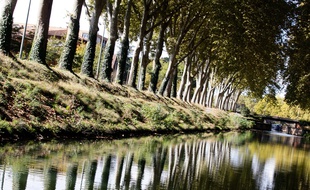 A bord d'une péniche sur le canal du Midi à côté des Allées de Barcelone, à Toulouse.