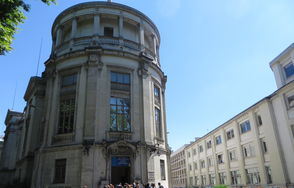 Lyon Le musée Guimet va rouvrir à la rentrée pour accueillir la Biennale d’art contemporain