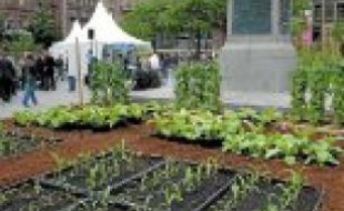 La première « ferme en ville » en 2010.