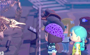 Le muséum d'Angers se visite dans le jeu «Animal Crossing - New Horizons».