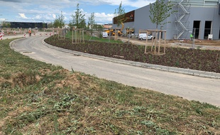 Le chantier de la zone commerciale nord de Strasbourg. Le 18 juin 2020.