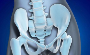 Illustration médicale de la région du bassin..