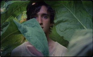Heureux comme Lazzaro.