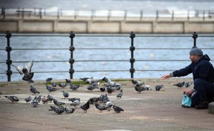 Un homme nourrit des pigeons à New Brighton au Royaume-Uni le 31 mars 2015