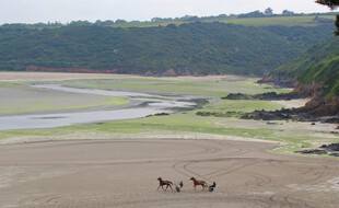 La plage de la Grandville, à Hillion, est toujours le théâtre d'échouages d'algues vertes au printemps.
