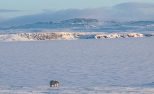 La bascule irréversible pourrait être atteinte pour l'Arctique